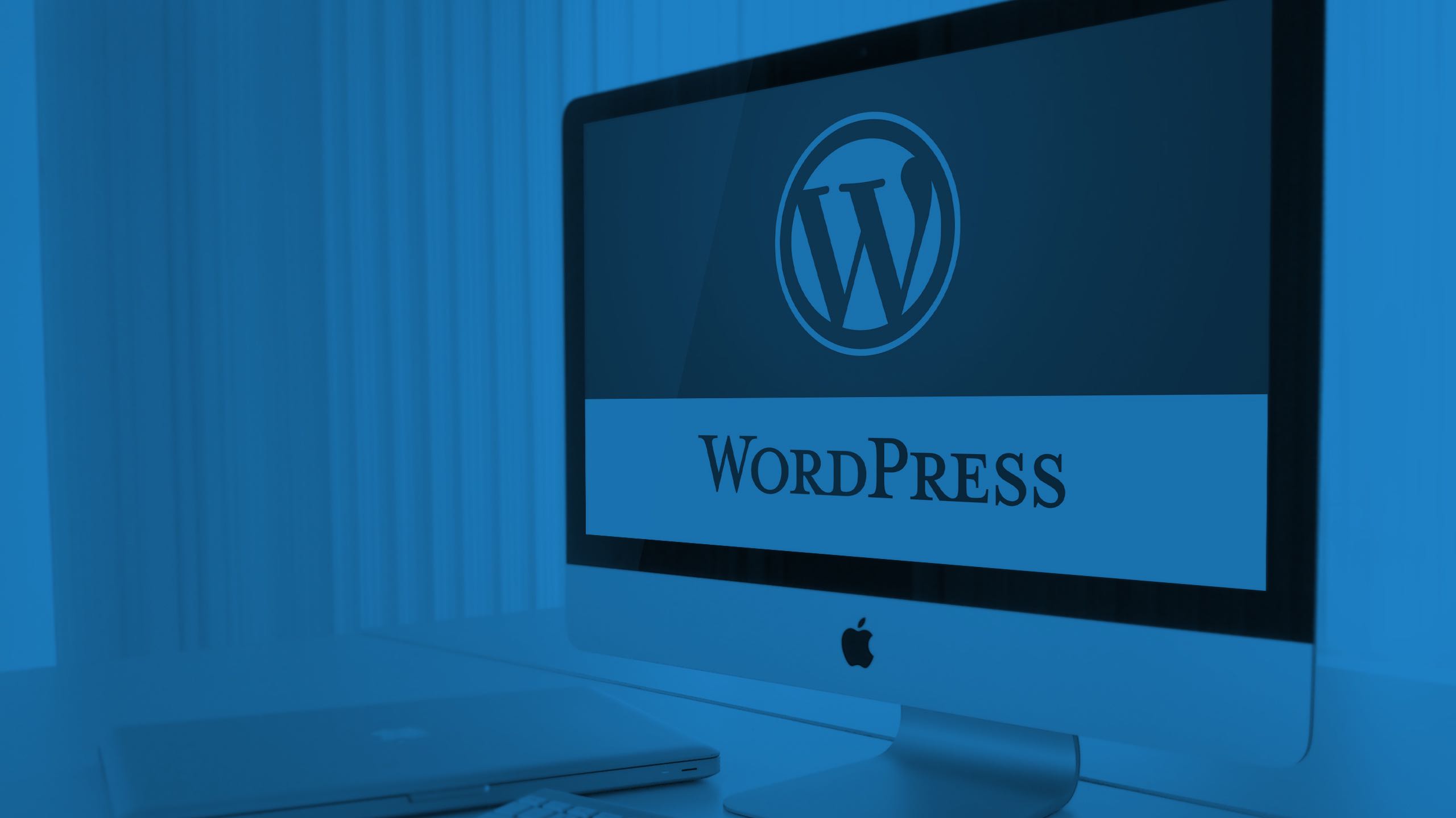 best wordpress development company