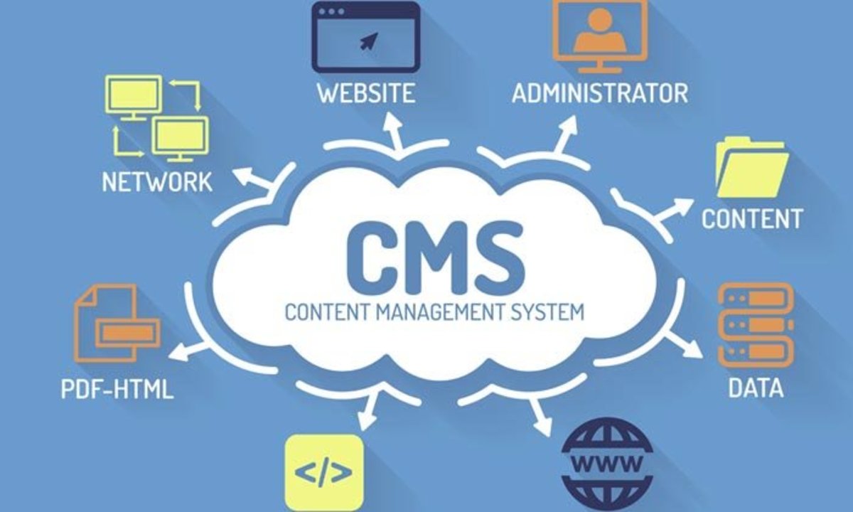 The Popularity of WordPress as CMS